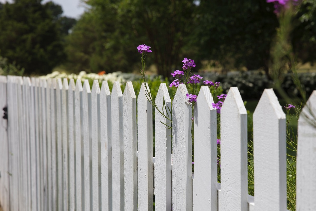 randy-fath-07dDz_PI05k-unsplash randy-fath-07dDz_PI05k-unsplash Fencing randy fath 07dDz PI05k unsplash
